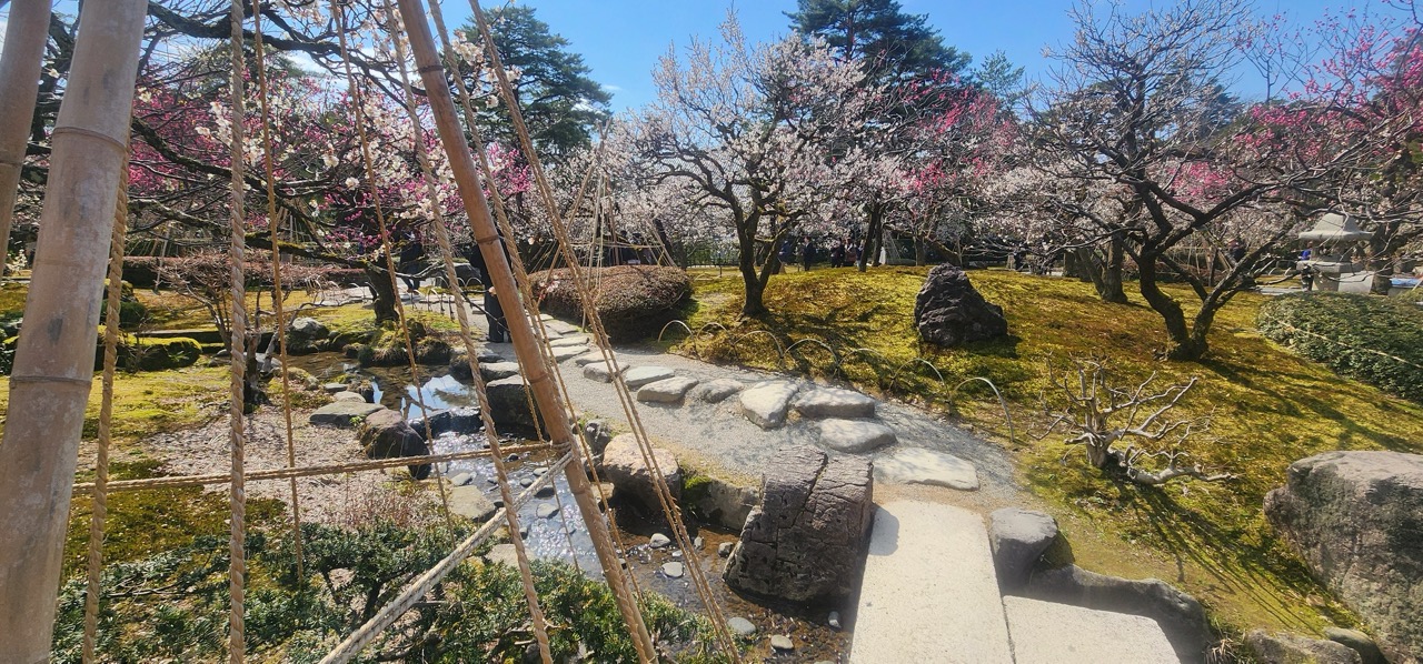 Kanazawa in winter — the yukizuri snow rope tradition unique to the city